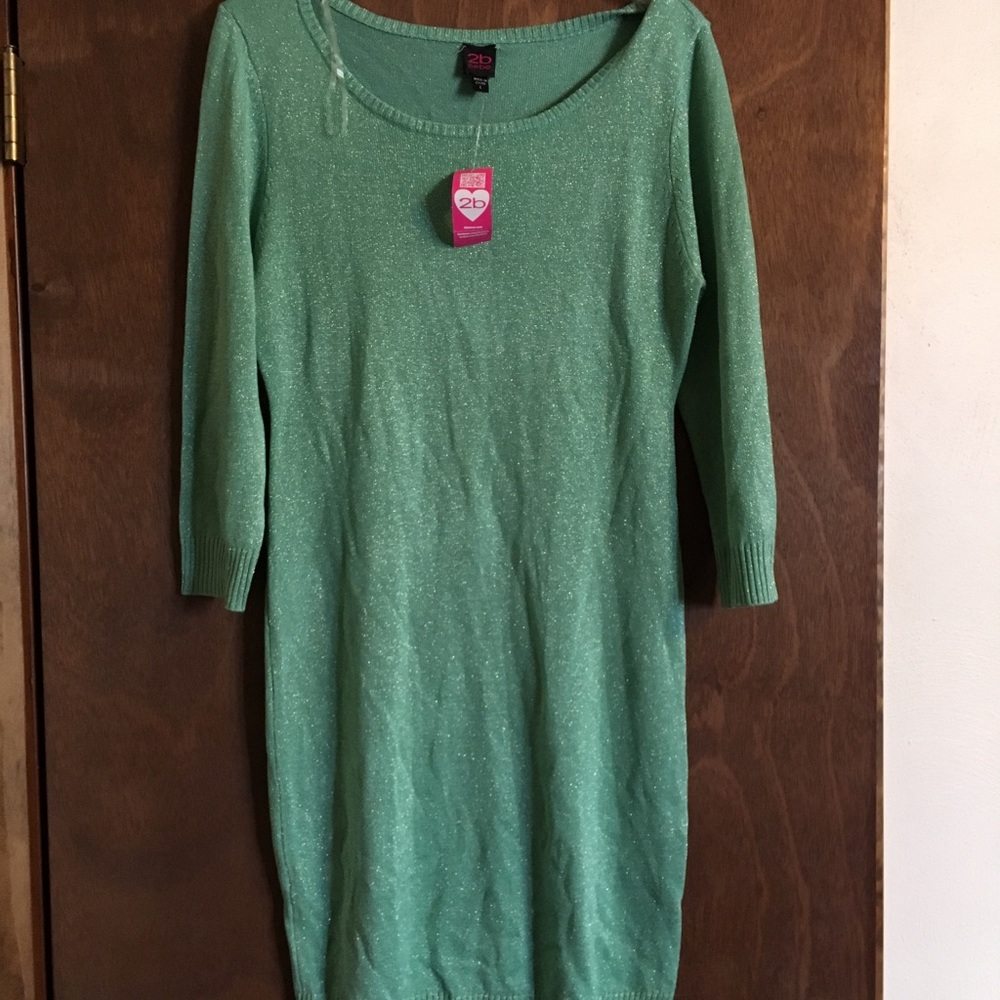 NWT sea foam green with gold thread sweater dress